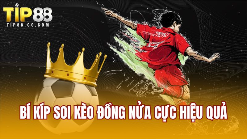 Bí kíp soi kèo đồng nửa cực hiệu quả