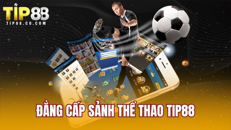 Đẳng cấp sảnh thể thao TIP88