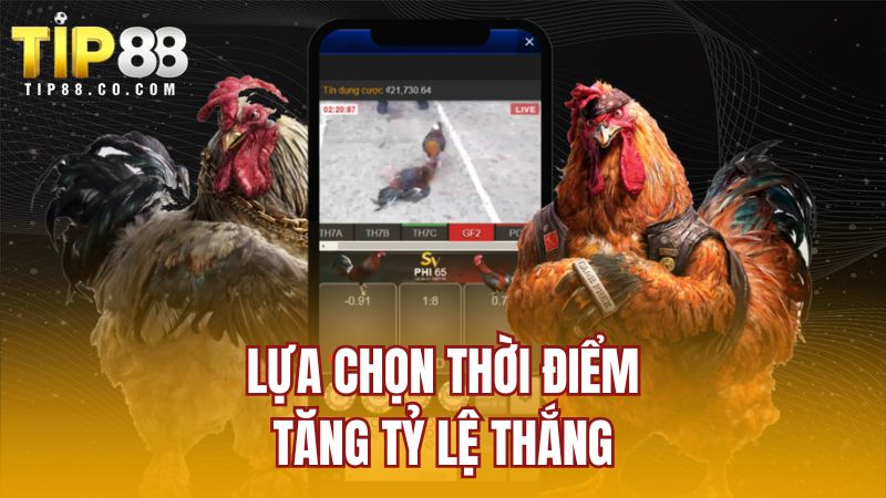 Lựa chọn thời điểm tăng tỷ lệ thắng